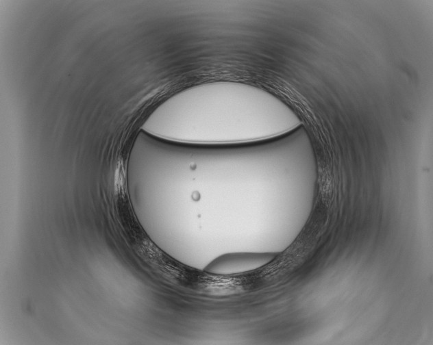 X0000111430095200907131049