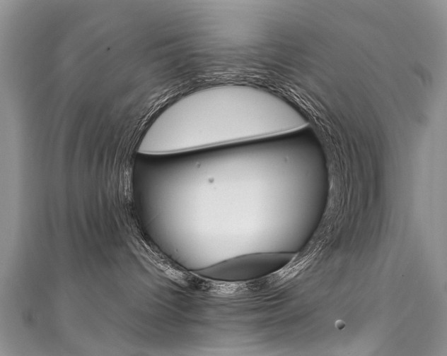 X0000111430096200907131049