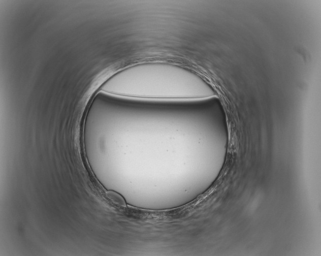 X0000111430099200907131048