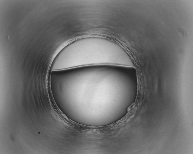 X0000111430100200907131048