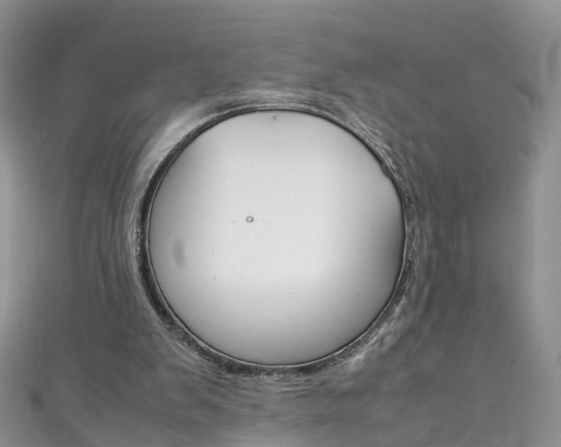 X0000111430103200907131048