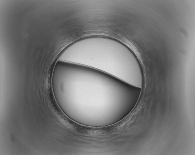 X0000111430105200907131048