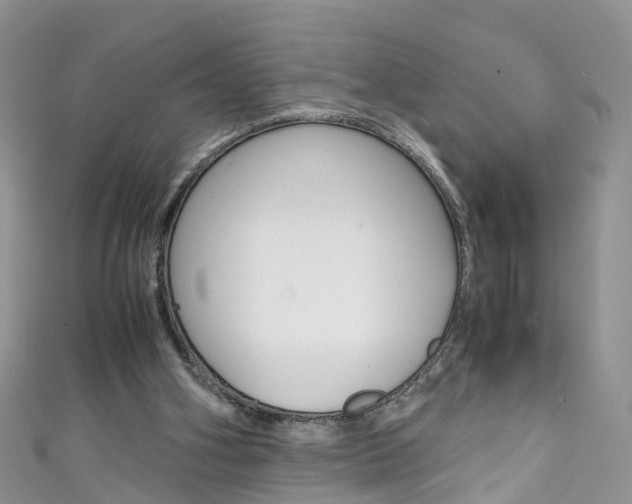 X0000111430106200907131048