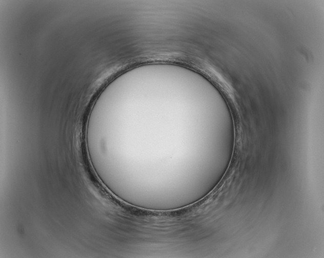 X0000111430107200907131048