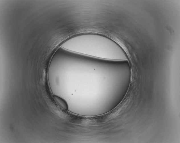 X0000111430109200907131048