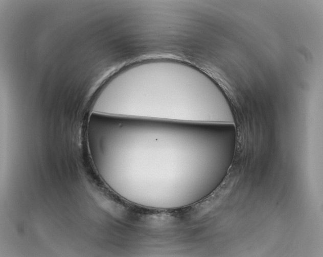 X0000111430112200907131048