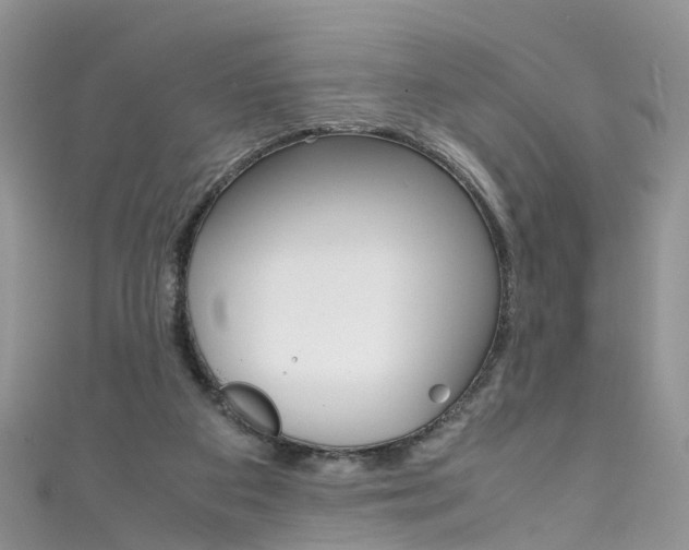 X0000111430113200907131048