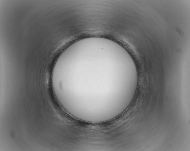 X0000111430115200907131048