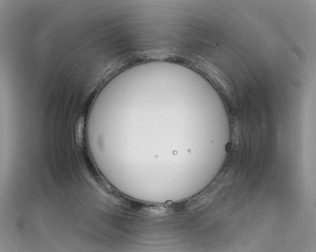 X0000111430118200907131048