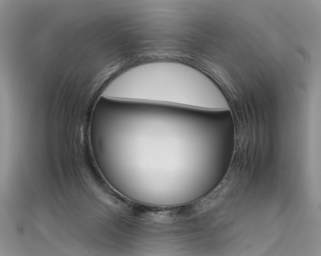 X0000111430120200907131048