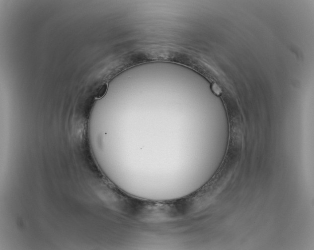 X0000111430125200907131048