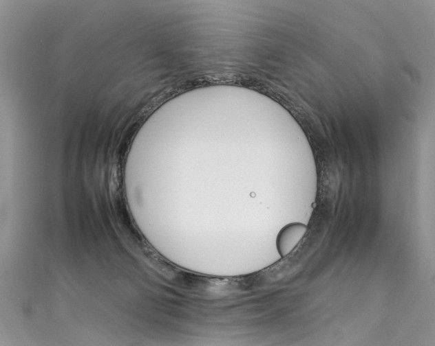 X0000111430130200907131048