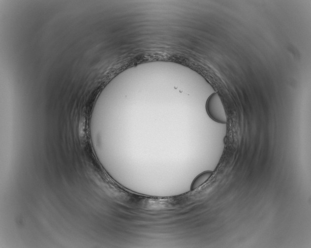 X0000111430134200907131048