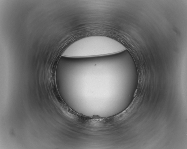 X0000111430136200907131048