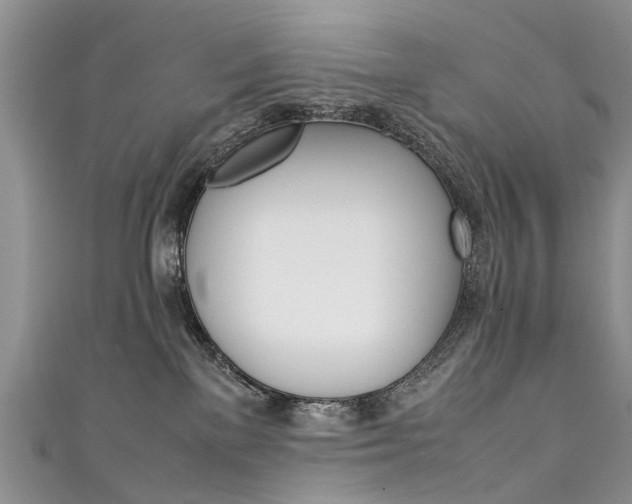 X0000111430137200907131048