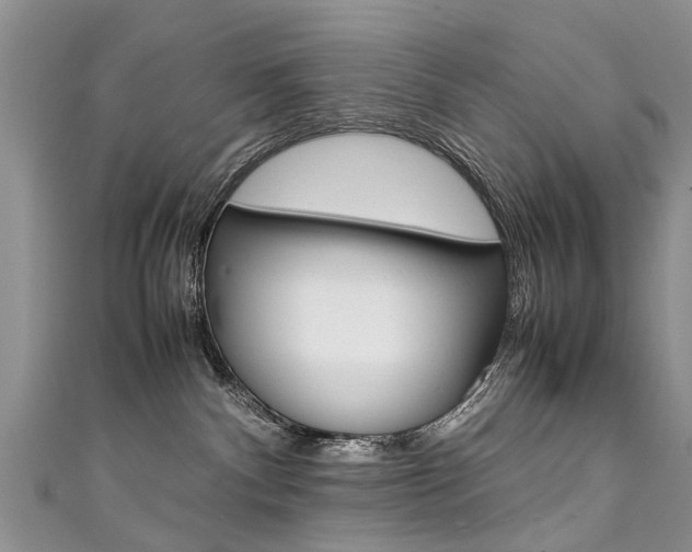 X0000111430140200907131048