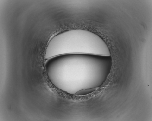 X0000111430144200907131048