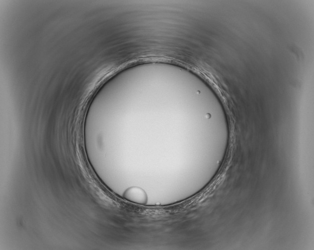X0000111430145200907131047