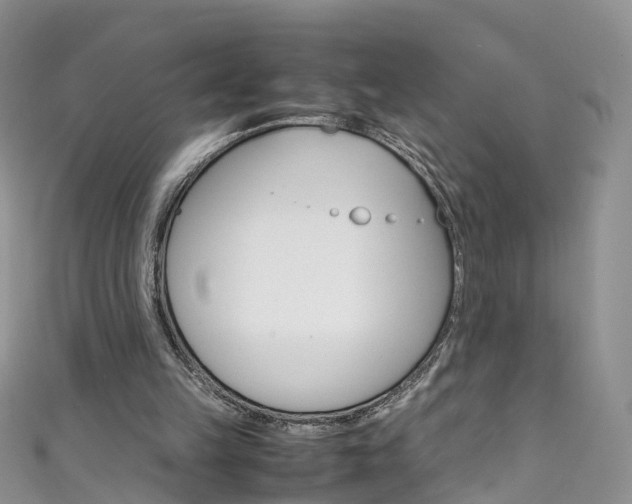 X0000111430149200907131047