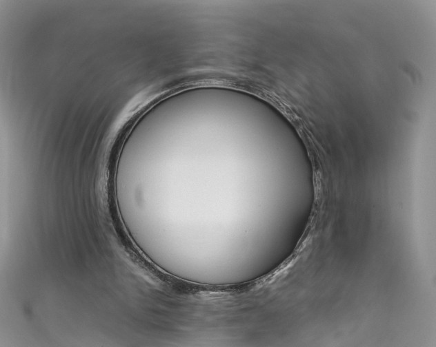 X0000111430150200907131047
