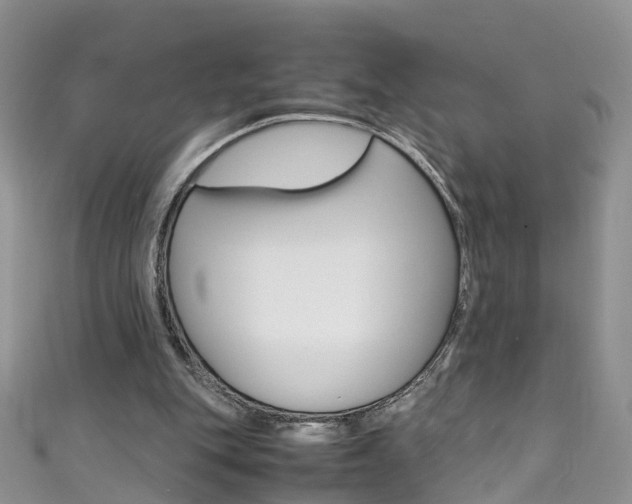 X0000111430151200907131047