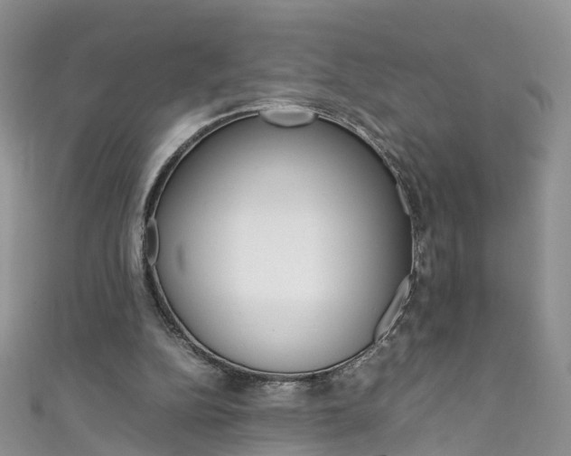 X0000111430152200907131047