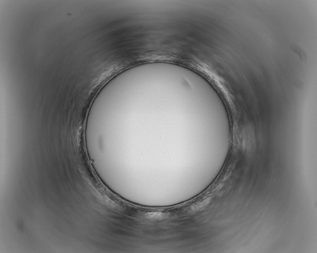 X0000111430153200907131047