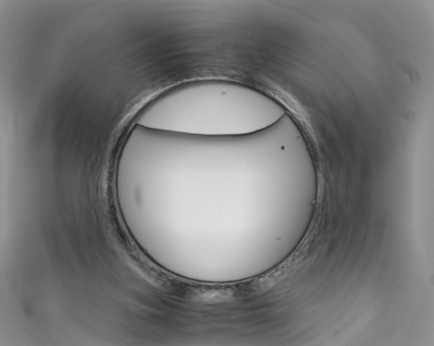 X0000111430155200907131047