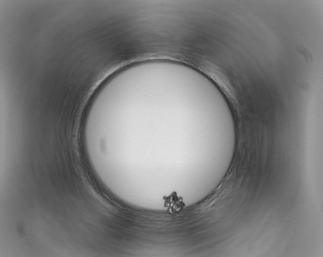 X0000111430156200907131047