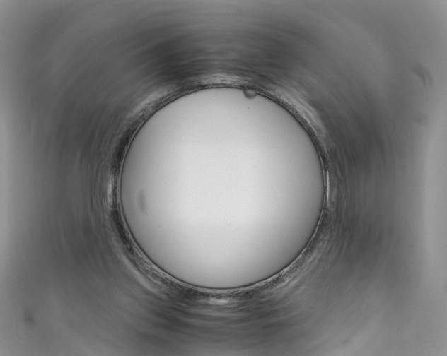 X0000111430157200907131047