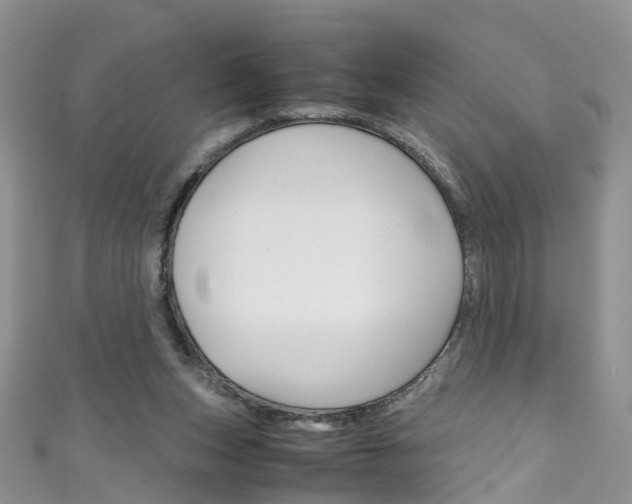 X0000111430159200907131047