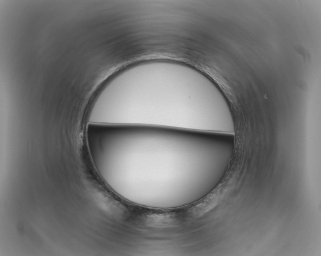 X0000111430160200907131047