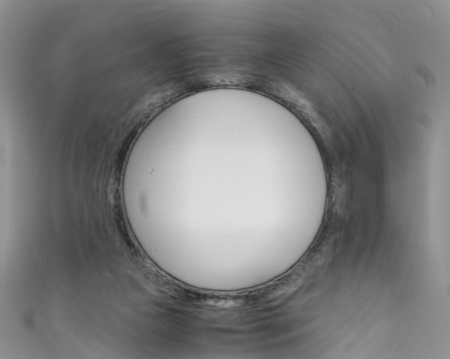 X0000111430161200907131047