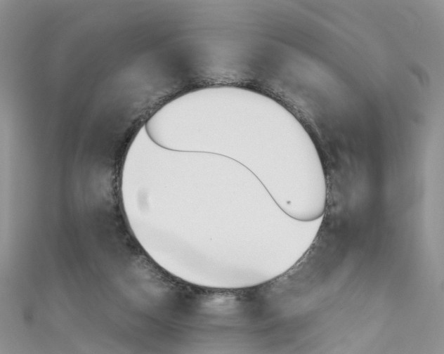 X0000111430162200907131047