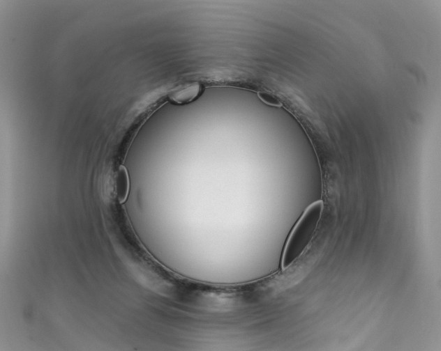 X0000111430164200907131047