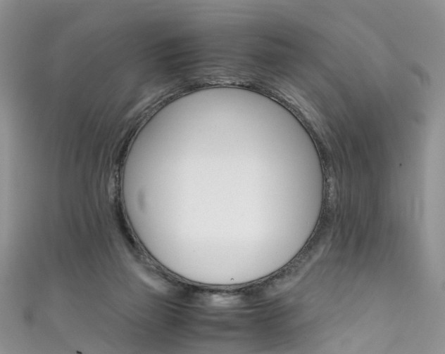 X0000111430165200907131047