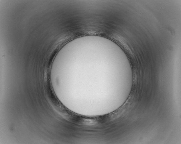 X0000111430167200907131047