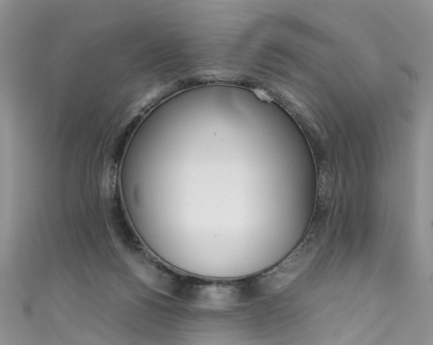 X0000111430168200907131047