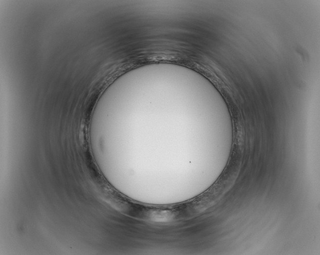 X0000111430169200907131047