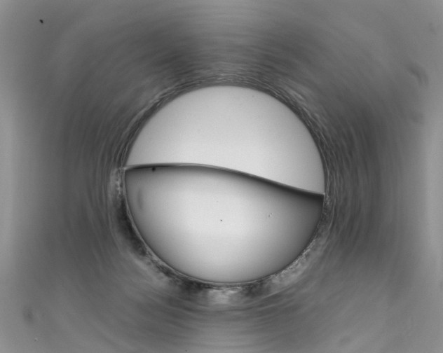 X0000111430172200907131047