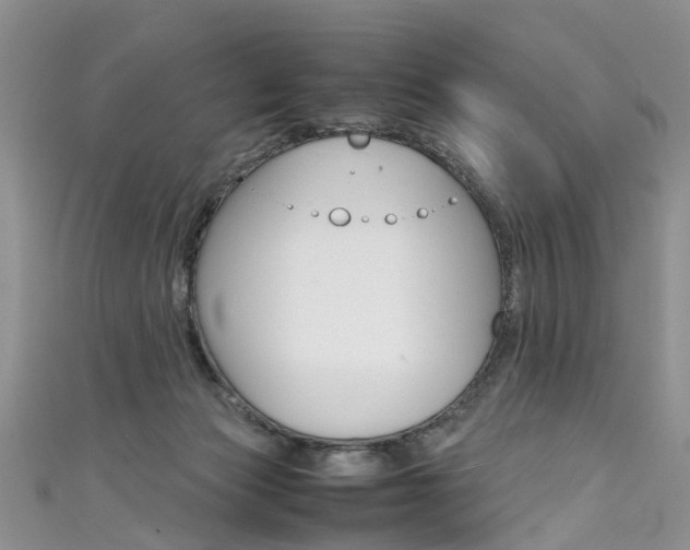 X0000111430173200907131047