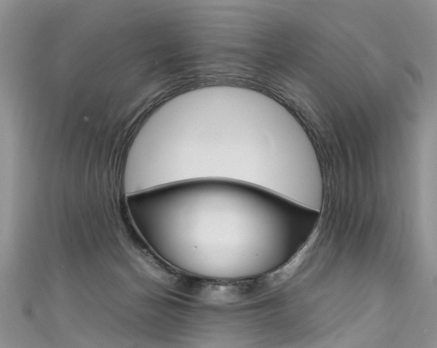 X0000111430174200907131047
