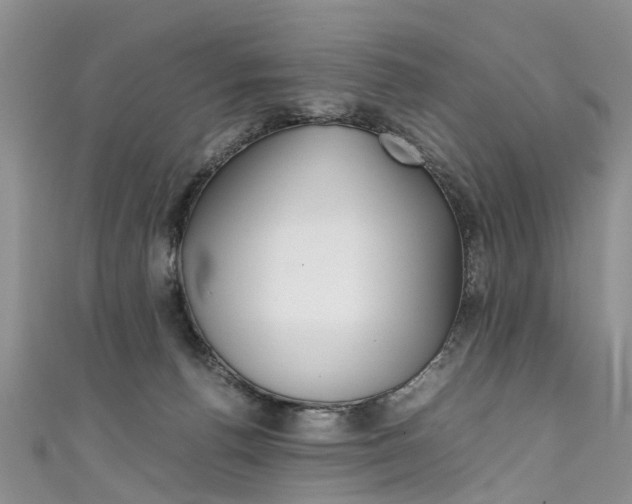 X0000111430176200907131047