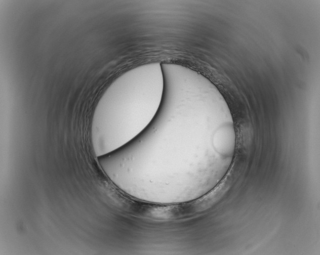X0000111430178200907131047