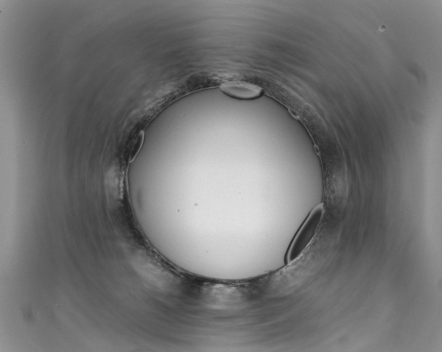 X0000111430180200907131047