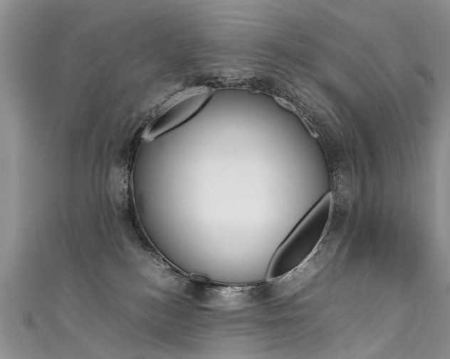 X0000111430184200907131048