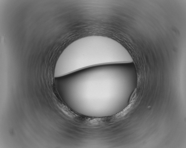 X0000111430186200907131048