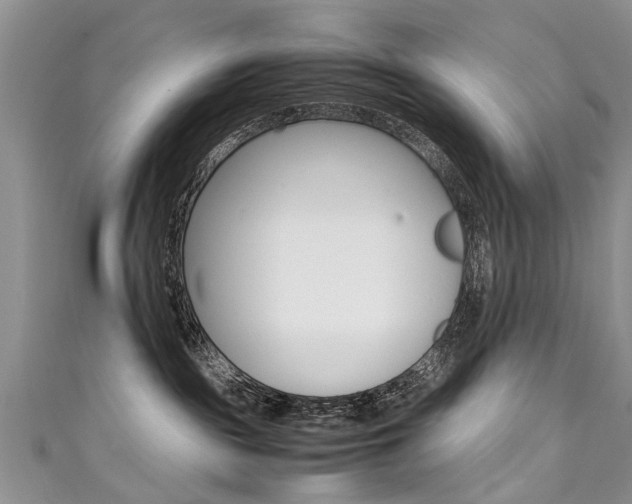 X0000111430189200907131048