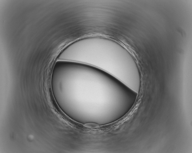 X0000111430193200907131047