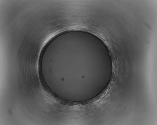 X0000111430196200907131047